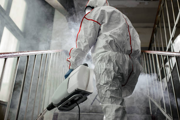 Why You Should Choose Our Mold Remediation Services in On Top Of The World Designated Place, FL